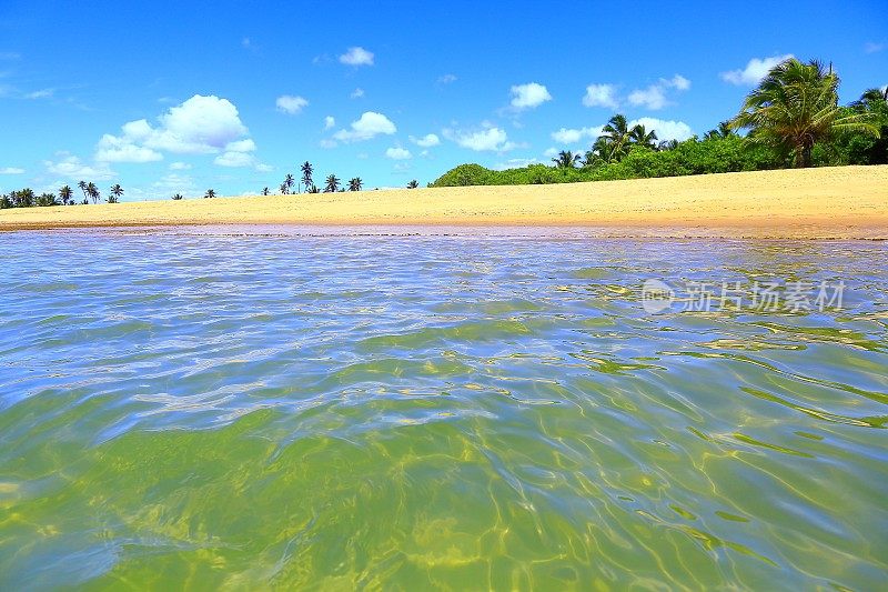 热带天堂:Praia do Forte明亮半透明的海滩，巴伊亚，巴西